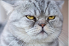 Screen Shot 2015-11-01 at 10.24.08 PM.png