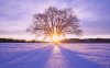 sunset-in-winter-14161.jpeg