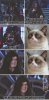 grumpy-cat-meets-palpatine.jpeg