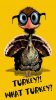 funny-turkey-iphone-wallpaper-photo-galleries-and-.jpg