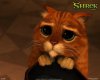 shrek1.jpg