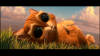 Young Puss.png