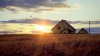sunset-on-the-wheat-field-nature-hd-wallpaper-1920.jpg