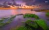 sunset-over-the-mossy-rocks-35649-1280x800.jpeg
