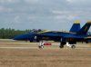 BlueAngels1.jpg