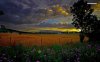 sunset-on-the-country-side-2355-1280x800.jpg