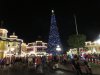 IMG_3227.JPG