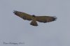 DSC_2149_DxO.jpg