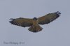 DSC_2156_DxO.jpg