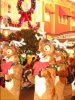 IMG_3654.JPG