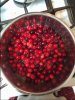 cranberries.JPG