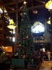 Wilderness Lodge Christmas Tree.jpg