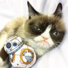 grumpycatbb8.jpg