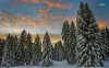 36137-beautiful-sunset-above-the-snowy-trees-1280x.jpg