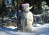 Blog-Snow-Yoda-Scarf.jpg