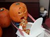 drunk-pumpkin.jpg