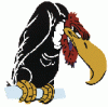 buzzard.gif