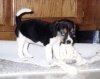 1992 taffy bad girl small.jpg