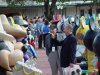 dsc02103.jpg