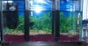 aquarium3.jpg