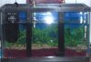 aquarium2.jpg