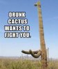 cactus.jpg