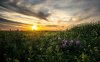 breathtaking-sunset-26189.jpg