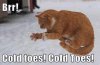 4c1757fbeafb77cca5f818df3b2be29b.jpeg