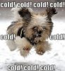 1425eff3b340a3ece5f8740cea31bdf5.jpg