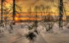 trees-covered-in-snow-36220-1280x800.jpg