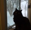 Spooky snow window.JPG