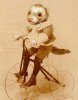 Ferret-Riding-a-Tricycle--36371-1.jpg