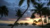 palm-trees-on-the-beach-beach-hd-wallpaper-1920x10.jpg