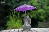 squirrel-umbrella-rain-squirrelisimo-max-ellis-5.jpg