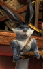 bunnymund2.png