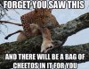 cheetos.jpg