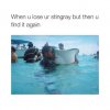 stingray.jpg