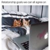 goals.jpg