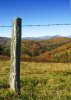 Wooden-fence-post.jpg