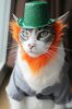 St-Patricks-day-cat-1.jpg