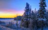 sunset-over-the-snowy-forest-36187-1280x800.jpg