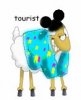 touristsheepavt copy.jpg