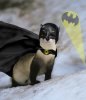 bat_ferret_to_the_rescue_by_until_the_morrow.jpg