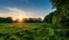 meadow_sunset_-wallpaper-1280x800-1.jpg