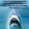 sharks.jpg