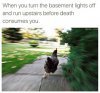 basementLight.jpg