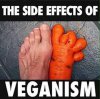 vegan.jpg