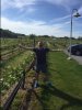 Buddy vines 2016.JPG
