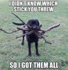 sticks.jpg