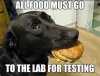lab.jpg
